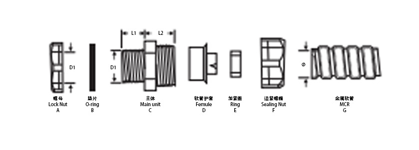   金屬端式接頭分解圖